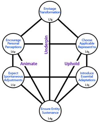 Influences between centres that cross two or three levels between Levels 4 to 7.