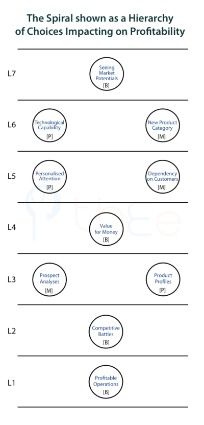 Pattern of choices that impact on profitability.