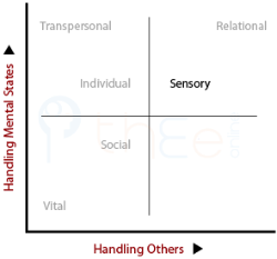Plotting Sensoty Being in terms of handling others and handling mental states.