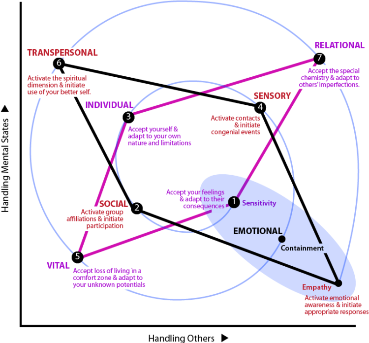 Intersecting diamonds of adaptation and regulation in regard to strengthening the sense of self.