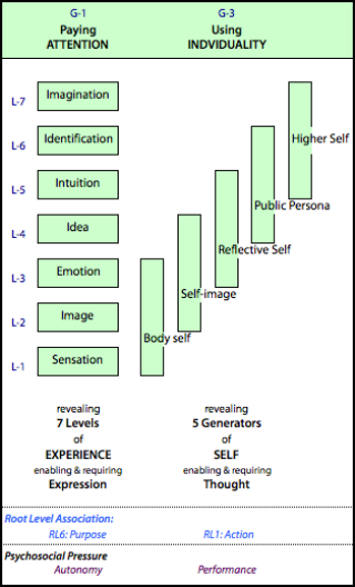 Triadic groupings of the levels of experience reveal the 5 different types of (sense of) self.