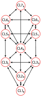 Blank Tree formed from a Hierarchy derived from a Spiral sequence with S v P as the dynamic duality.