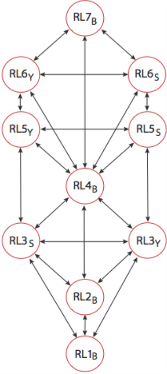 Root levels in the standard Root Hierarchy Tree with social pole dominating personal pole.