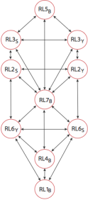 Formula version of the Root Hierarchy Tree.