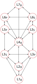 Blank version of a primary hierarchy tree.
