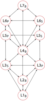 Blank version of a primary hierarchy tree.