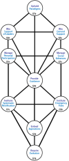 Pattern of centres and channels when the Structural Hierarchy of Change is operated as a whole.