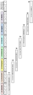 Pattern of 7 arenas for associating in relation to the use of language methods.