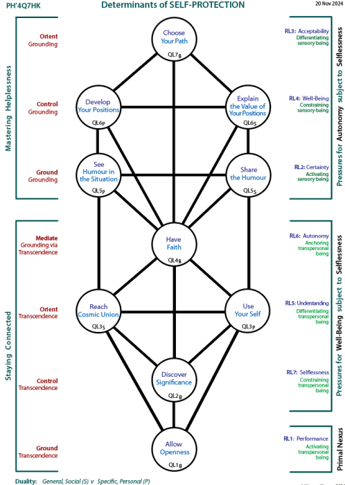Determinants of self-protection: Tree pattern Q7.