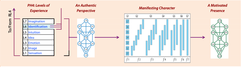 Fundamentals of the Experience Domain RL4