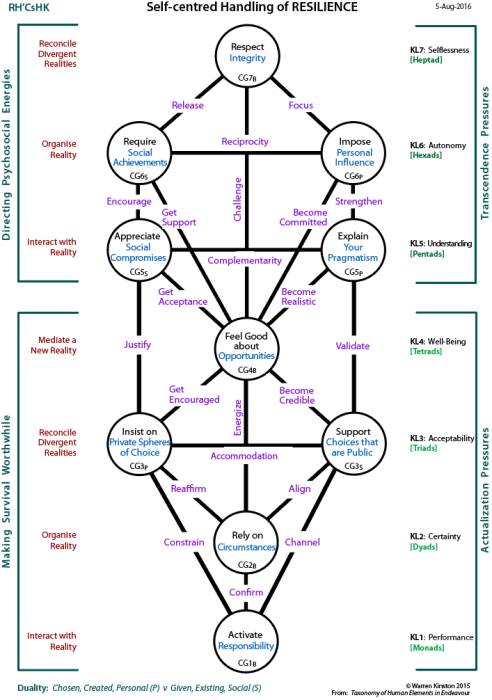 Self-centred handling of the requirements for resilience (RH'CsHK)