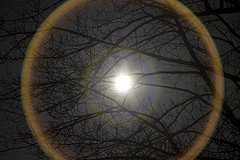 Purify the mind. Courtesy jontunn Light 4