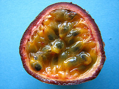 Transform your life via Passion Courtesy fdecomite  flickr.com