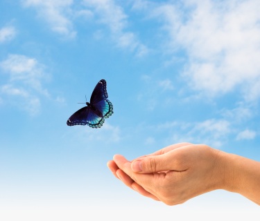 free will and being human
